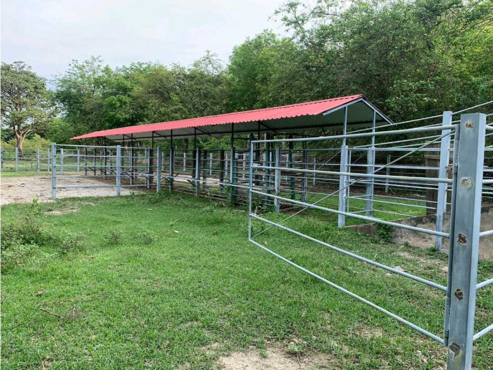 Finca a orilla de carretera de 137 hectáreas, organizada, la gran vía - 1