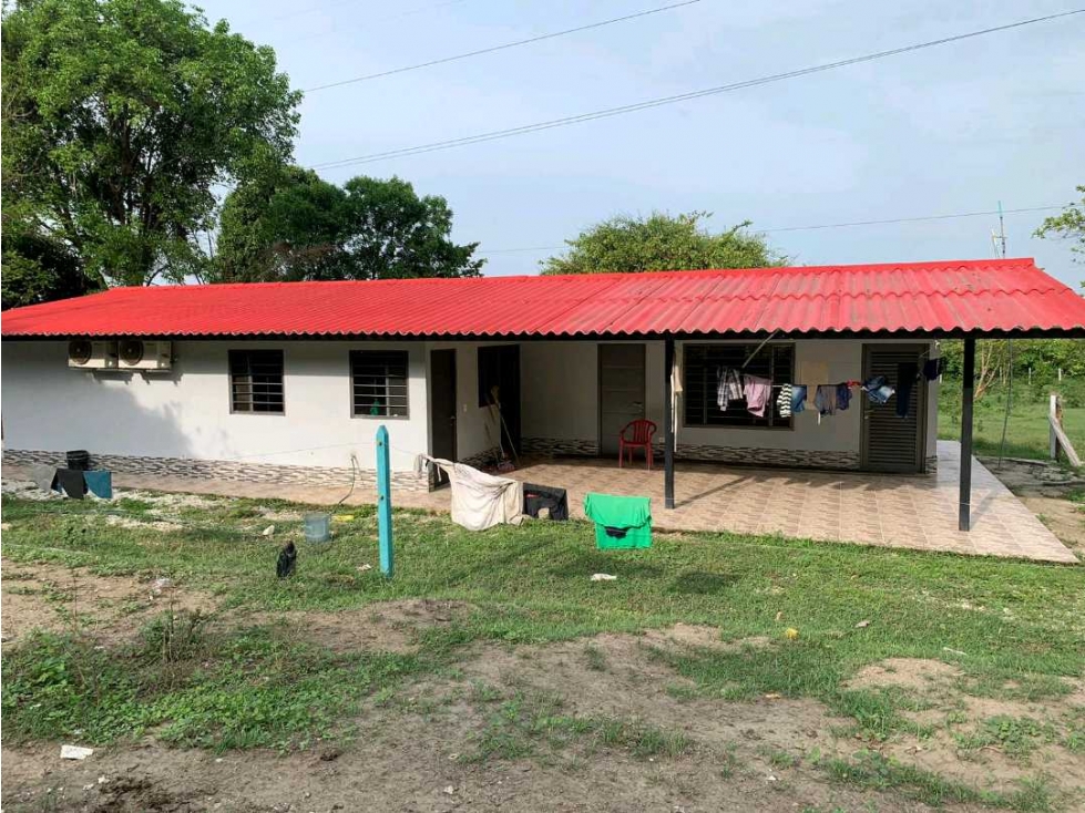 Finca a orilla de carretera de 137 hectáreas, organizada, la gran vía - 2