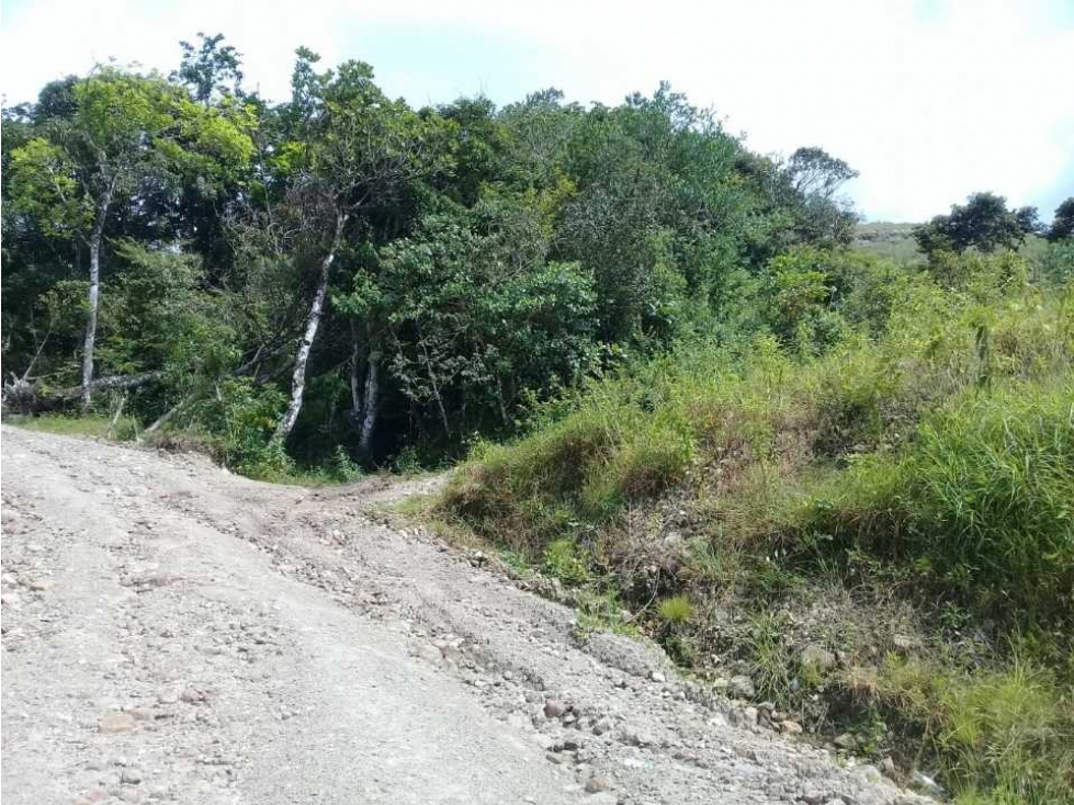 FINCA A POCOS MINITOS DEL VALLE DE ANTÓN $6 EL M2 - 2