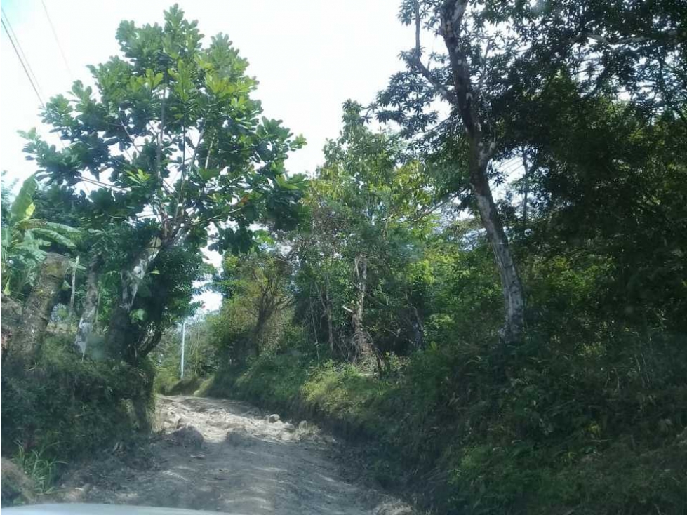 FINCA A POCOS MINITOS DEL VALLE DE ANTÓN $6 EL M2 - 3