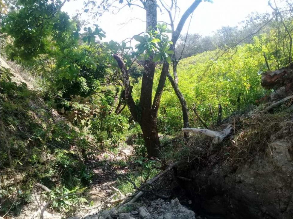 FINCA A POCOS MINITOS DEL VALLE DE ANTÓN $6 EL M2 - 4