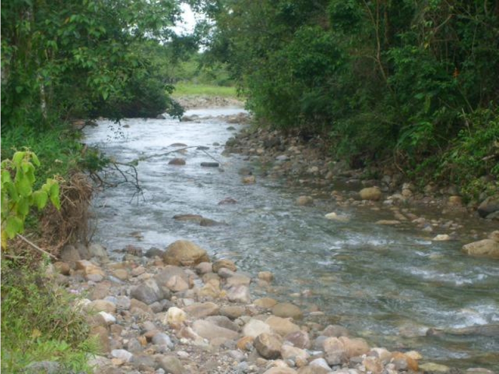 Finca, Acacías, Meta - 6