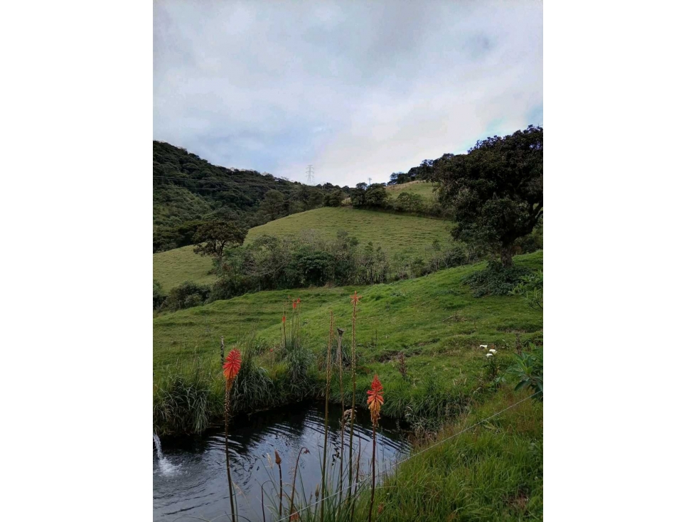 FINCA AGROPECUARIA Y TURÍSTICA DE 29 HECTÁREAS EN VENTA - 2