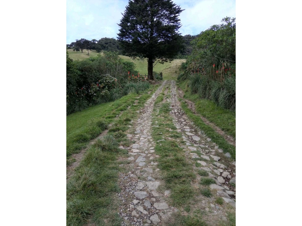 FINCA AGROPECUARIA Y TURÍSTICA DE 29 HECTÁREAS EN VENTA - 5