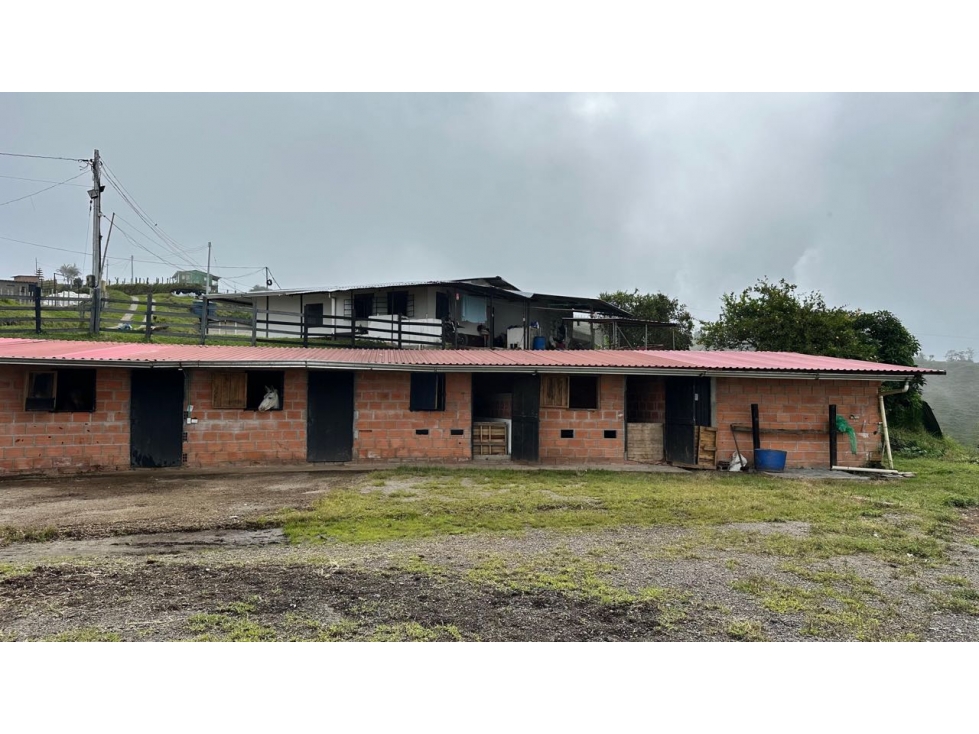 FINCA AGUACATE HAS PADUA TOLIMA - 1