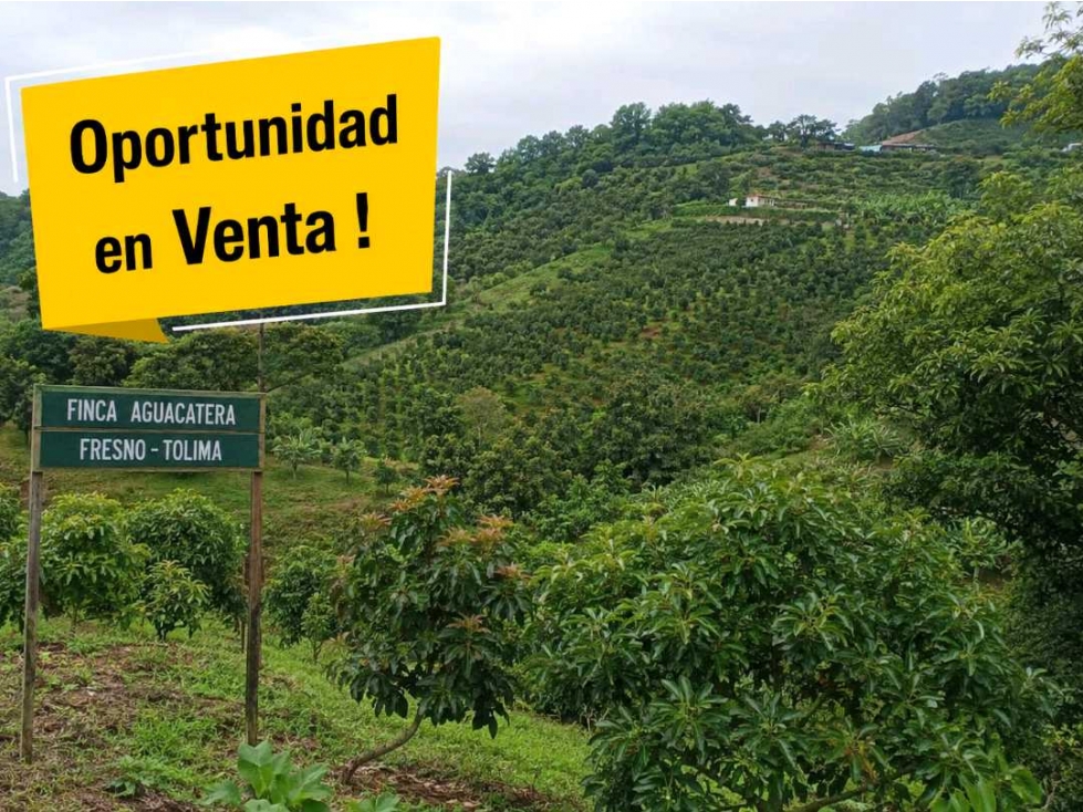 Finca Aguacatera en Fresno Tolima - 1