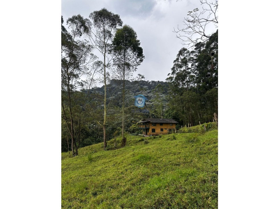 Finca Aluva en Venta Santa Rosa de Cabal