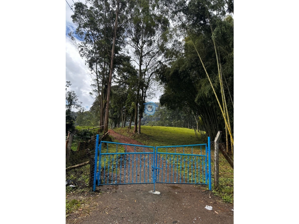 Finca Aluva en Venta Santa Rosa de Cabal — foto 4
