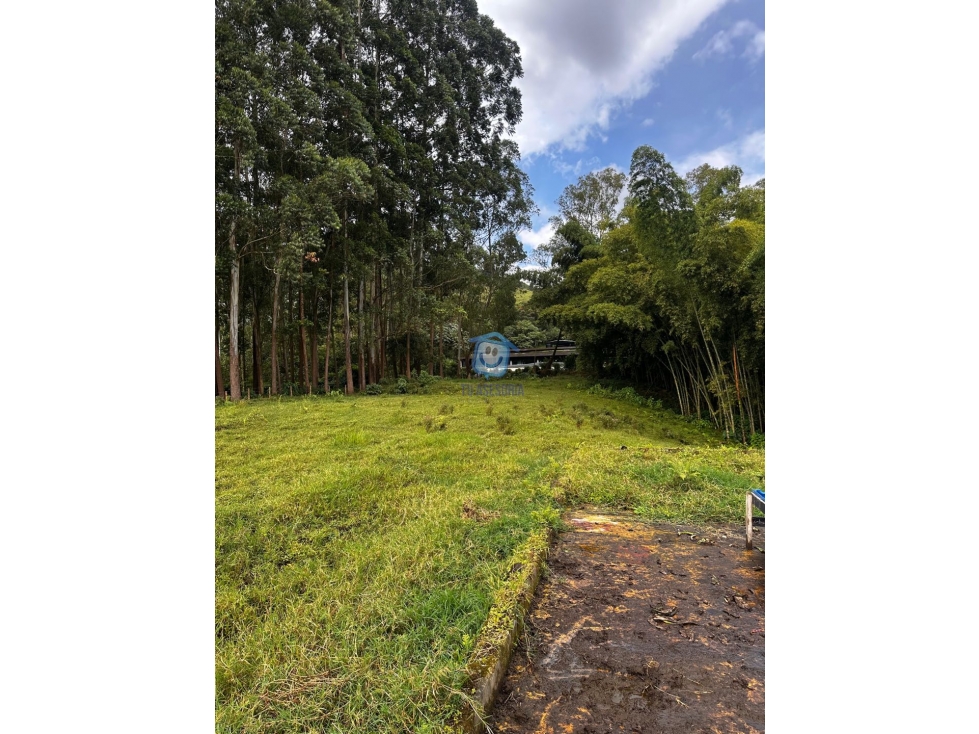 Finca Aluva en Venta Santa Rosa de Cabal — foto 5