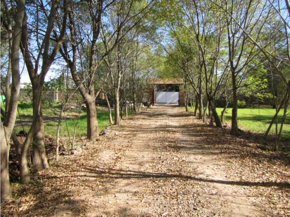 FINCA AMPLIA PARA PROYECTO HABITACIONAL COITZIO - 4