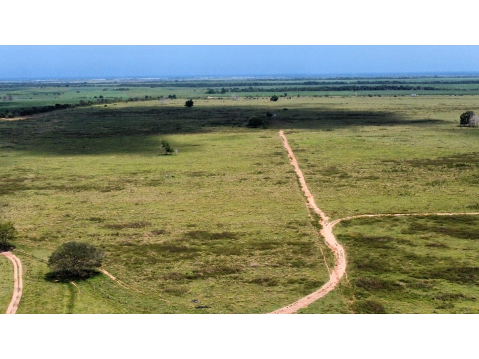 FINCA ANGOSTURAS