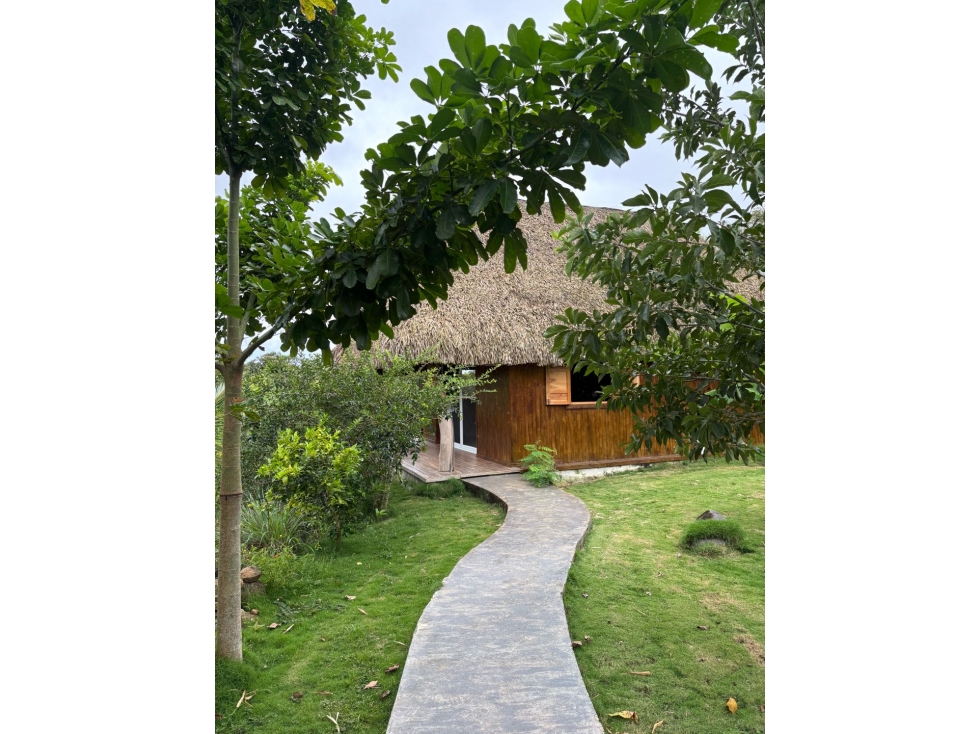 Finca Bed&Breakfast - Las Uvas - 2