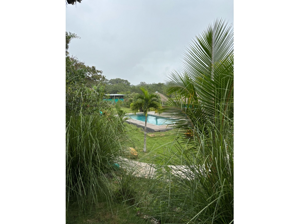 Finca Bed&Breakfast - Las Uvas - 3