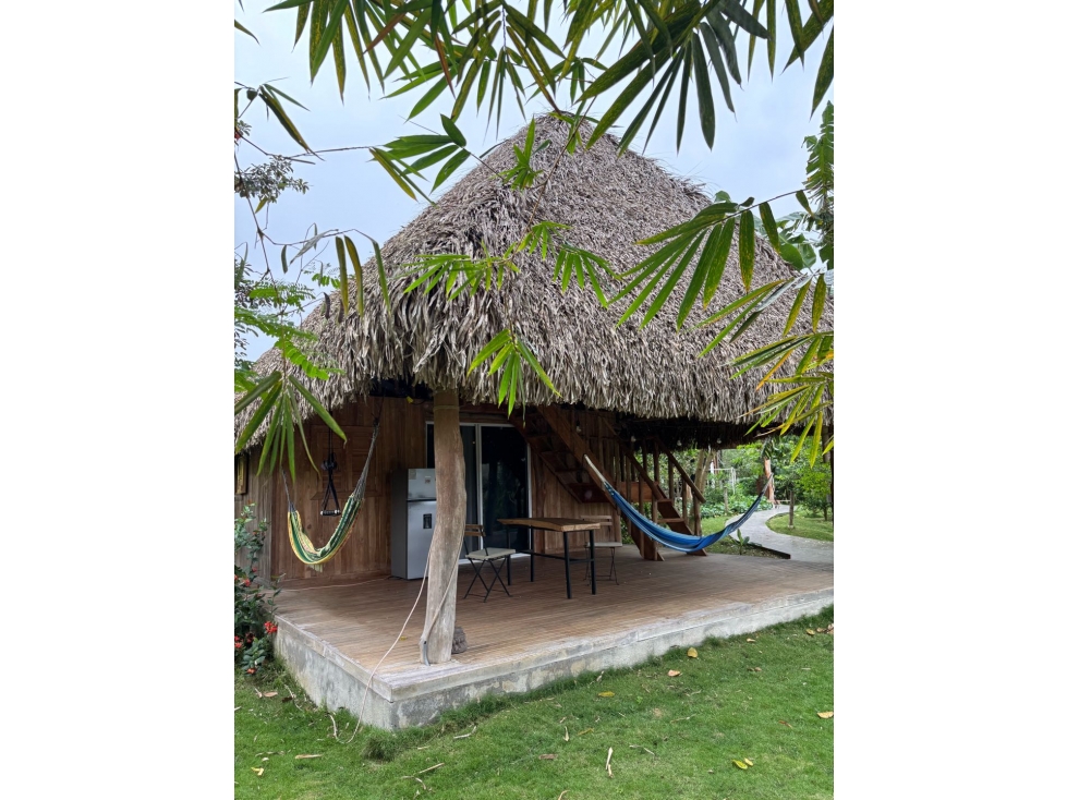 Finca Bed&Breakfast - Las Uvas - 4