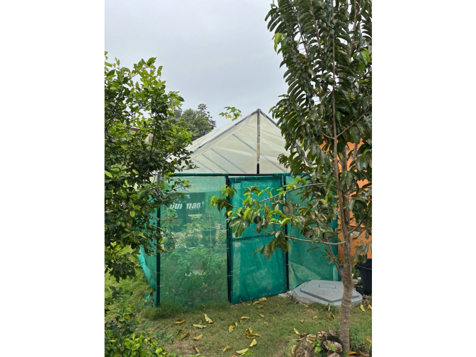 Finca Bed&Breakfast - Las Uvas - 5
