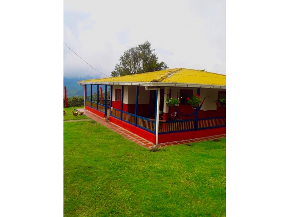 Finca Cafetera en Venta en Santa Rosa de Cabal - 70 Cuadras