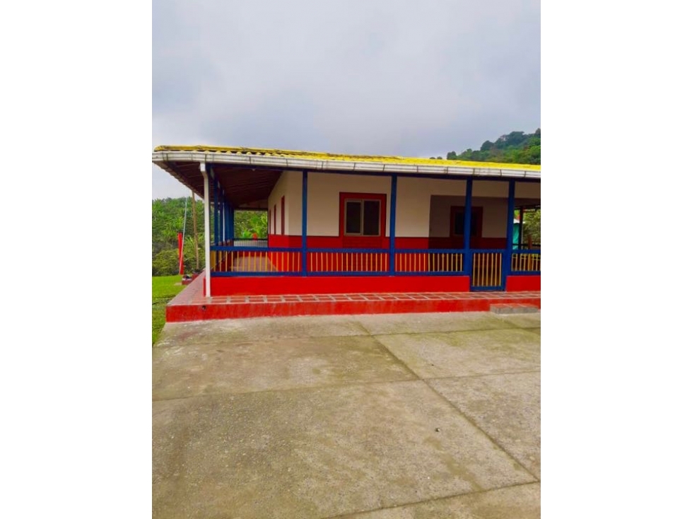 Finca Cafetera en Venta en Santa Rosa de Cabal - 70 Cuadras — foto 2