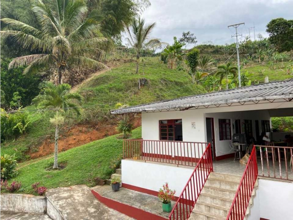 Finca Cafetera En Venta Belalcazar Caldas - 2