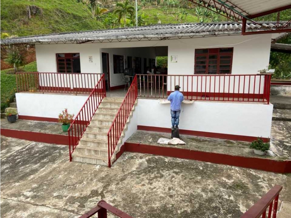 Finca Cafetera En Venta Belalcazar Caldas - 3