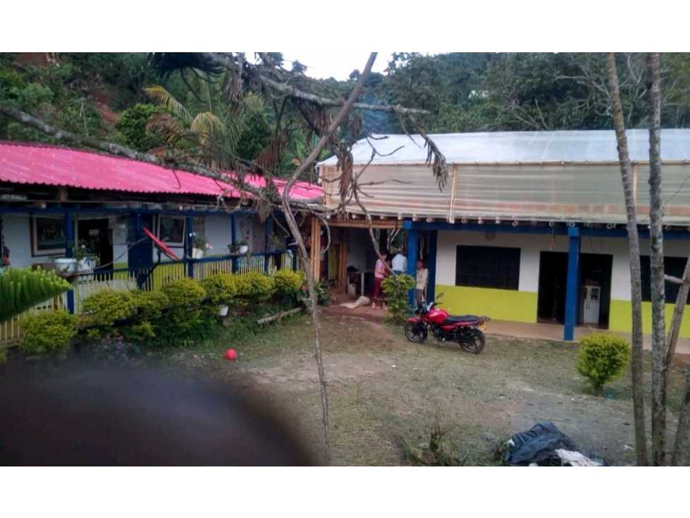 FINCA CAFETERA EN VENTA BELÉN DE UMBRÍA (RISARALDA) - 5