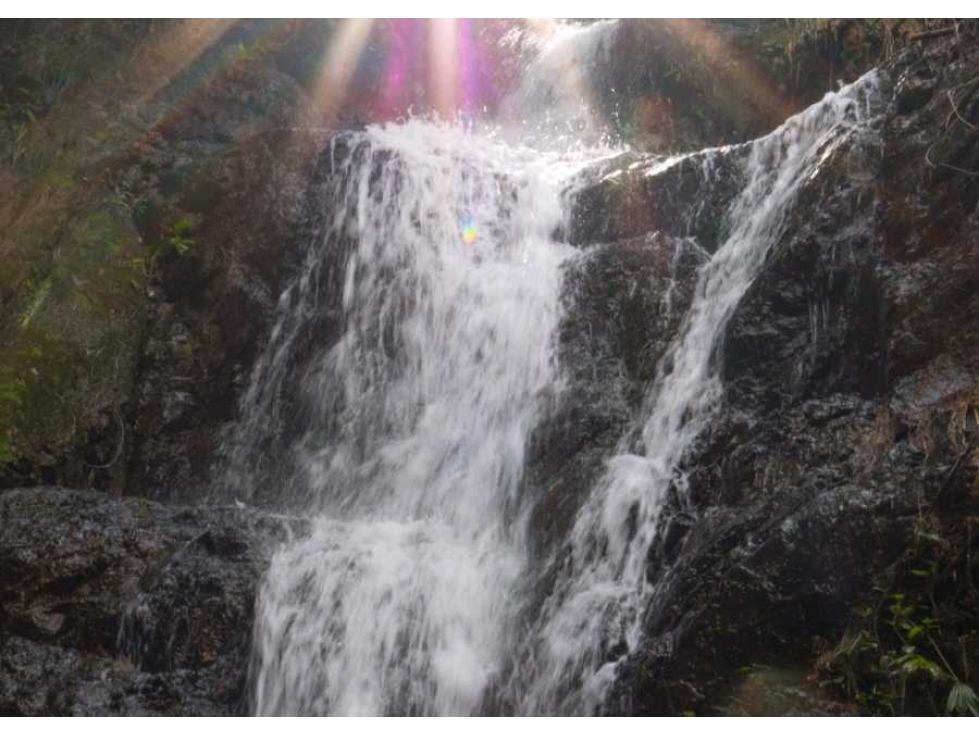 FINCA CAFETERA EN VENTA BELÉN DE UMBRÍA (RISARALDA) - 6