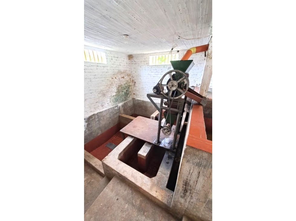Finca Cafetera En Venta Caicedonia Valle - 6