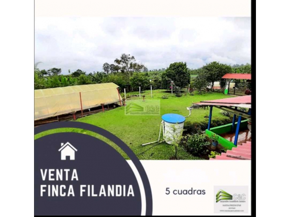 FINCA CAFETERA FILANDIA 5 CUADRAS 4774