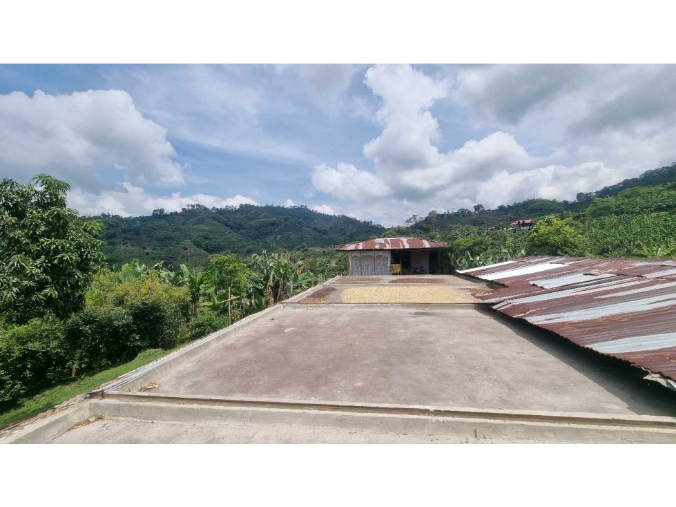 Finca cafetera para la venta en Córdoba excelente vista - 1
