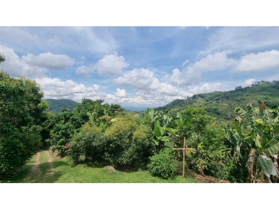 Finca cafetera para la venta en Córdoba excelente vista - 2