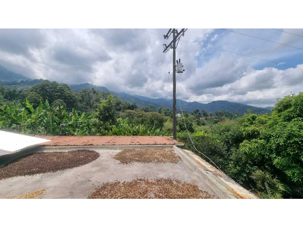 Finca cafetera para la venta en Córdoba excelente vista - 3