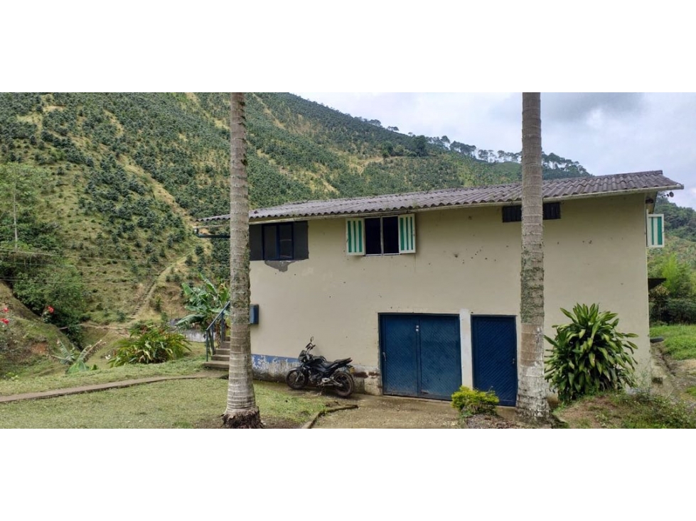 Finca Cafetera en Venta en Santa Rosa de Cabal - 150 Cuadras — foto 3