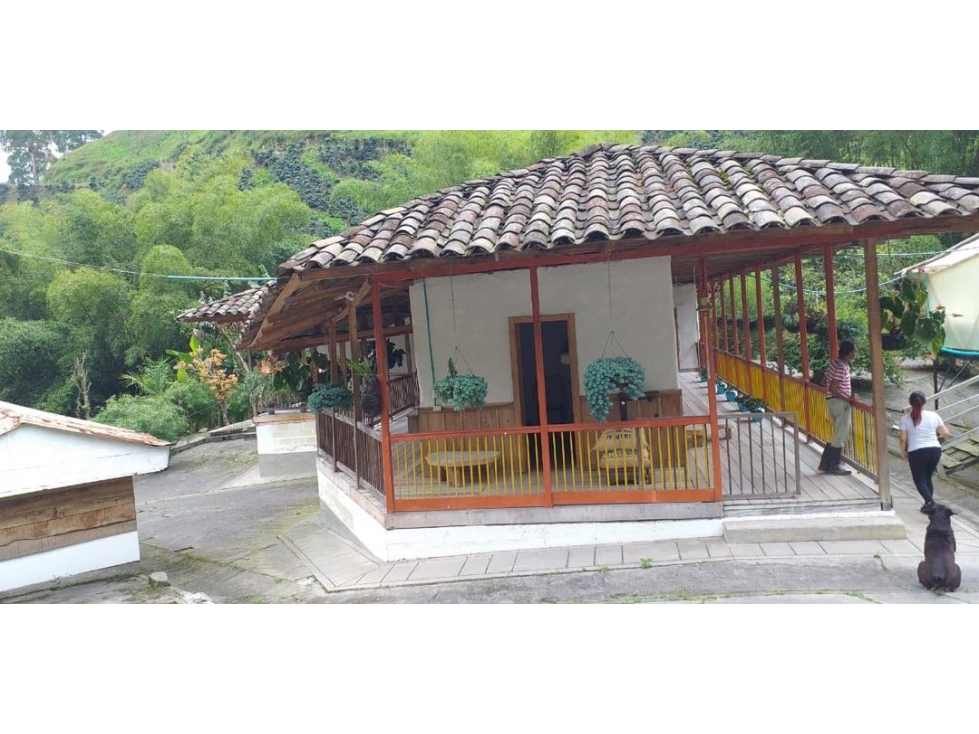 Finca Cafetera en Venta en Santa Rosa de Cabal - 150 Cuadras — foto 4