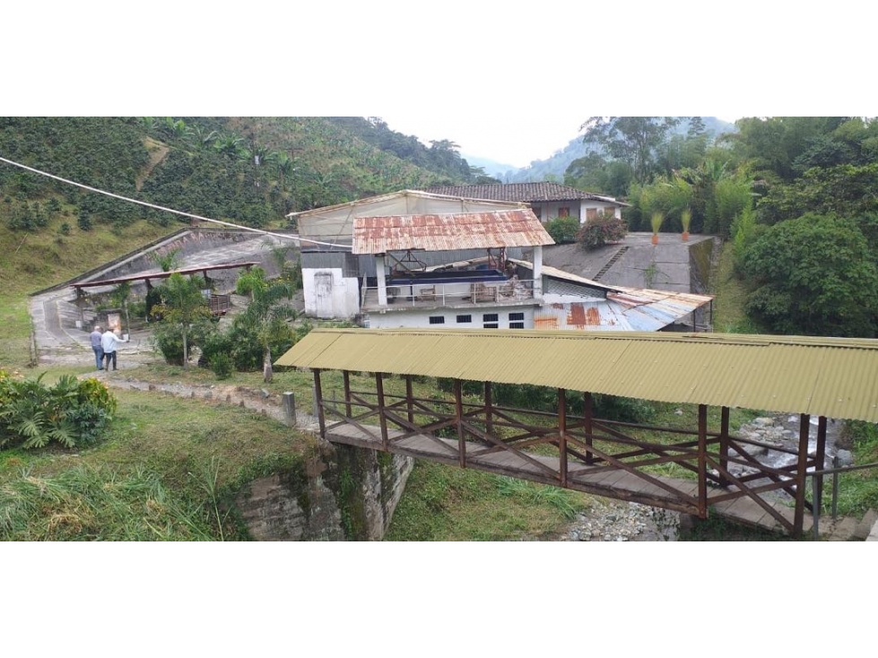 Finca Cafetera en Venta en Santa Rosa de Cabal - 150 Cuadras — foto 5