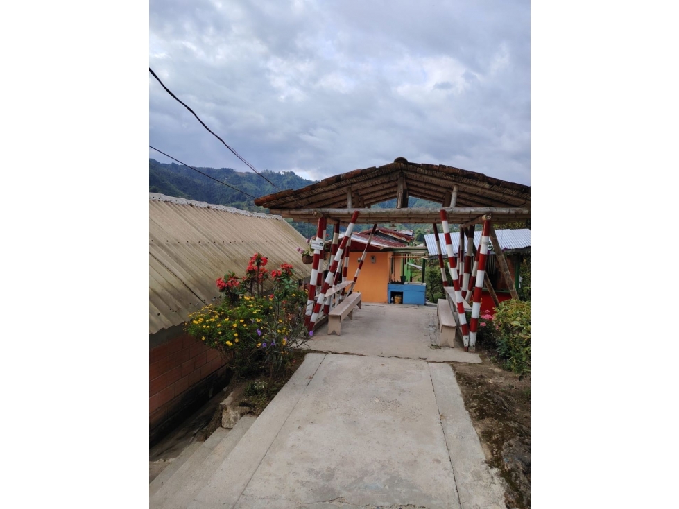 Finca Cafetera Vía Neira Vereda Santa Rita — foto 2