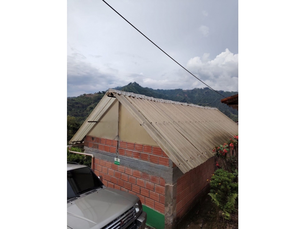 Finca Cafetera Vía Neira Vereda Santa Rita — foto 3