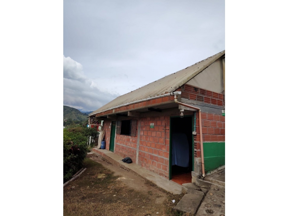 Finca Cafetera Vía Neira Vereda Santa Rita — foto 4