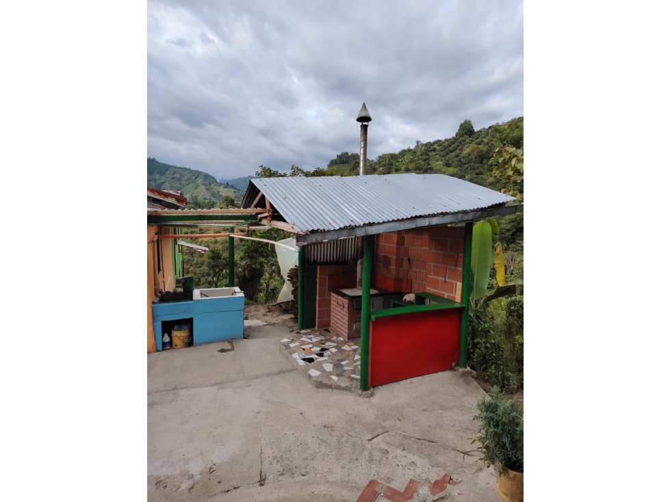 Finca Cafetera Vía Neira Vereda Santa Rita — foto 5