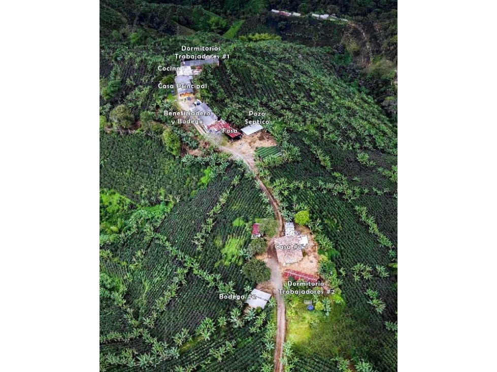 Finca cafetera y tecnificada en Santa Rosa de Cabal - 4