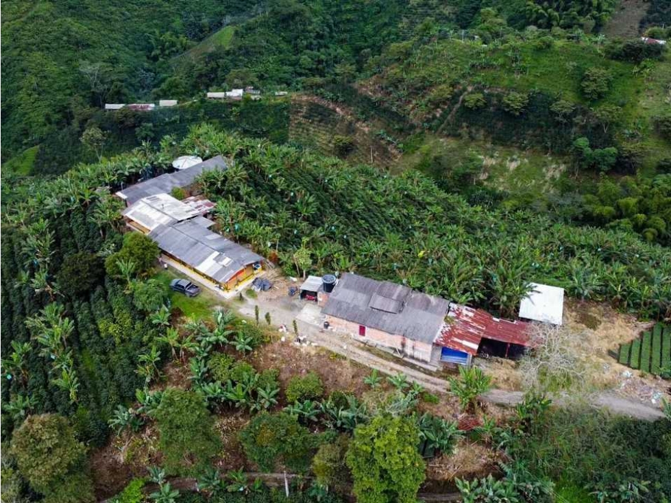 Finca cafetera y tecnificada en Santa Rosa de Cabal - 5