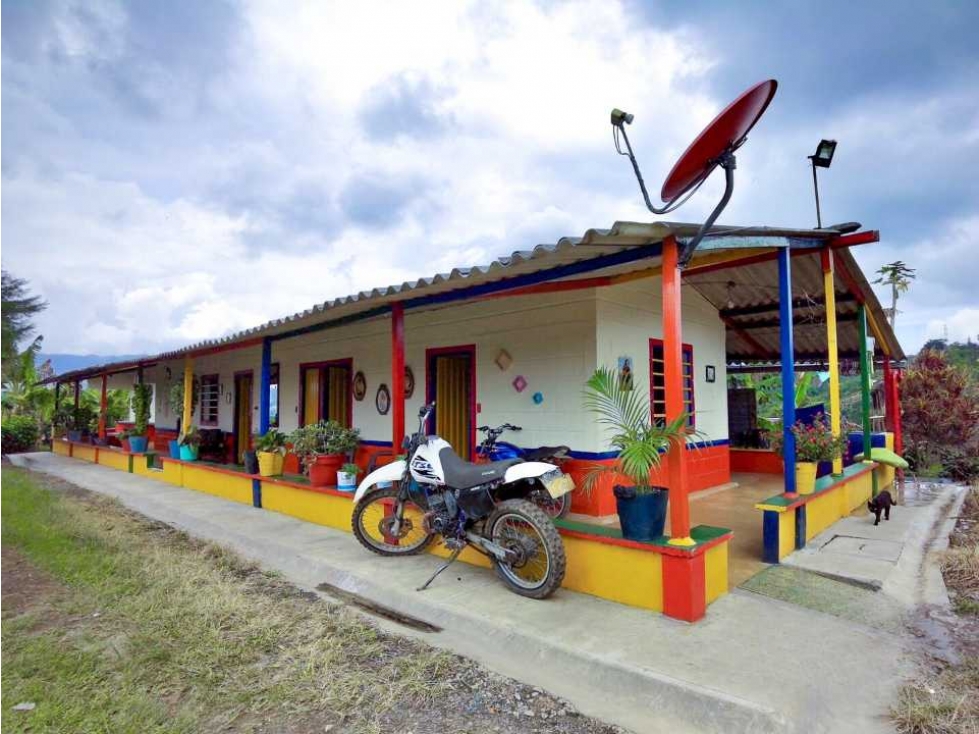 Finca cafetera y tecnificada en Santa Rosa de Cabal - 6