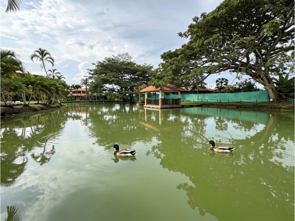 Finca campestre amoblada en venta permuta | Guacarí - Valle del Cauca - 6