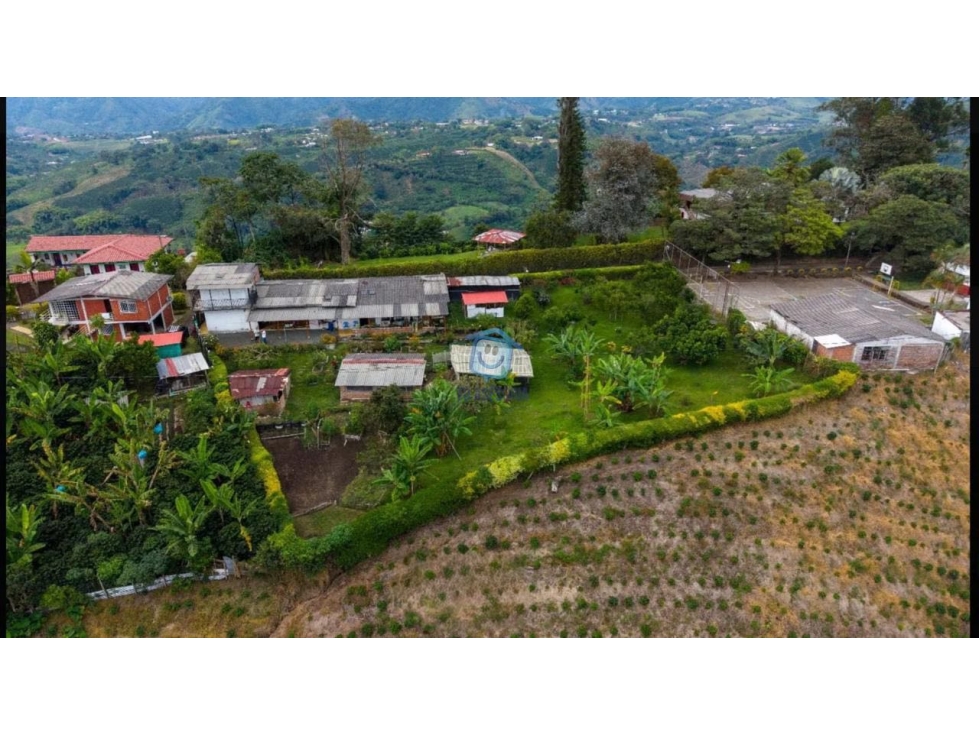 Finca campestre en venta en el Manzanillo-Santa Rosa de Cabal - 4