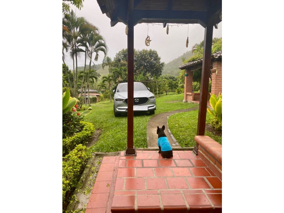 Finca campestre en venta - La Buitrera Palmira Valle Colombia — foto 4