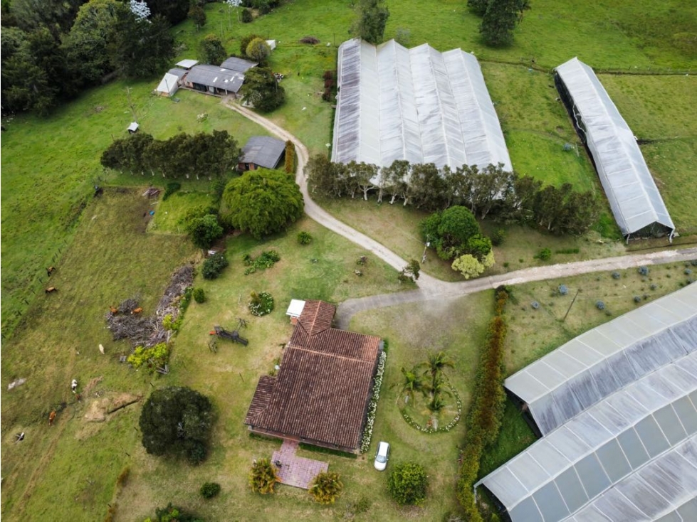 Finca con 5 Escrituras Sector Eafit vía Don Diego Rionegro Antioquia — foto 2