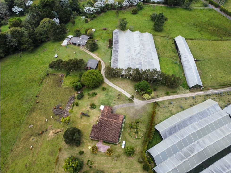 Finca con 5 Escrituras Sector Eafit vía Don Diego Rionegro Antioquia — foto 3