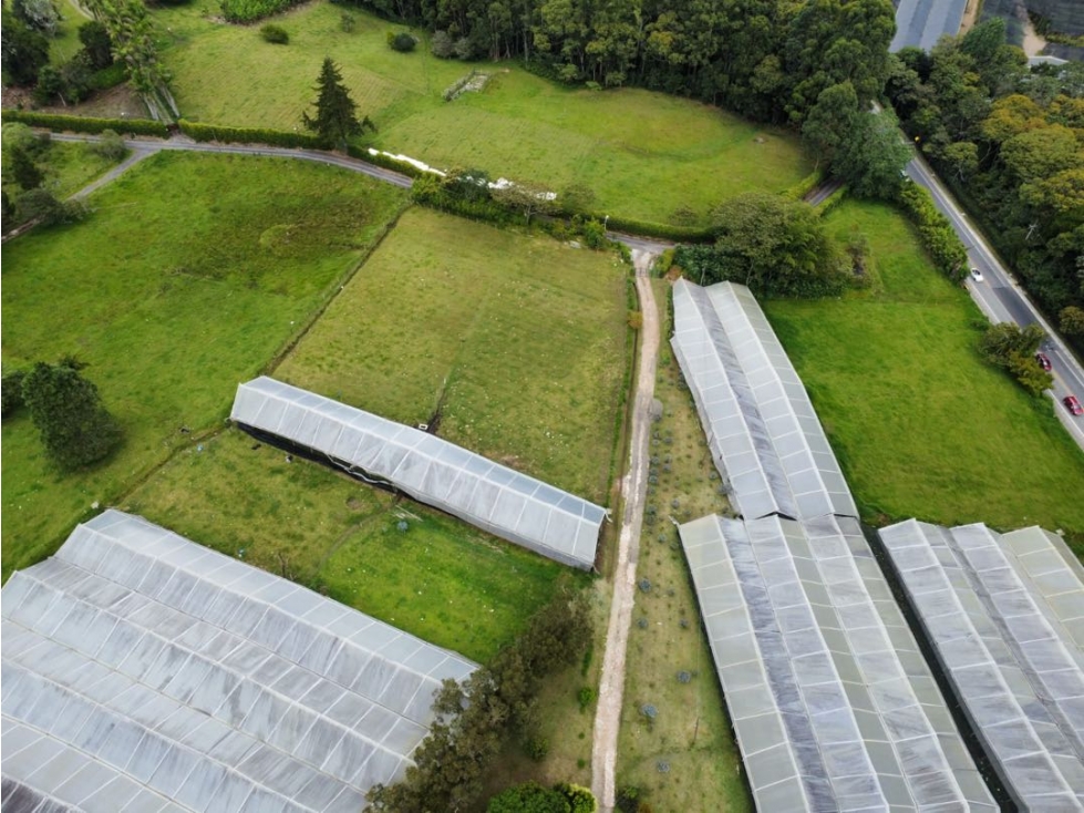 Finca con 5 Escrituras Sector Eafit vía Don Diego Rionegro Antioquia — foto 4