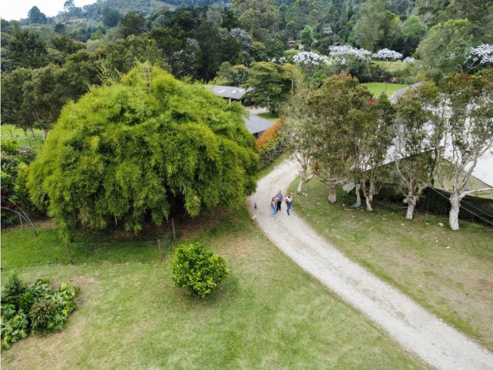Finca con 5 Escrituras Sector Eafit vía Don Diego Rionegro Antioquia — foto 6