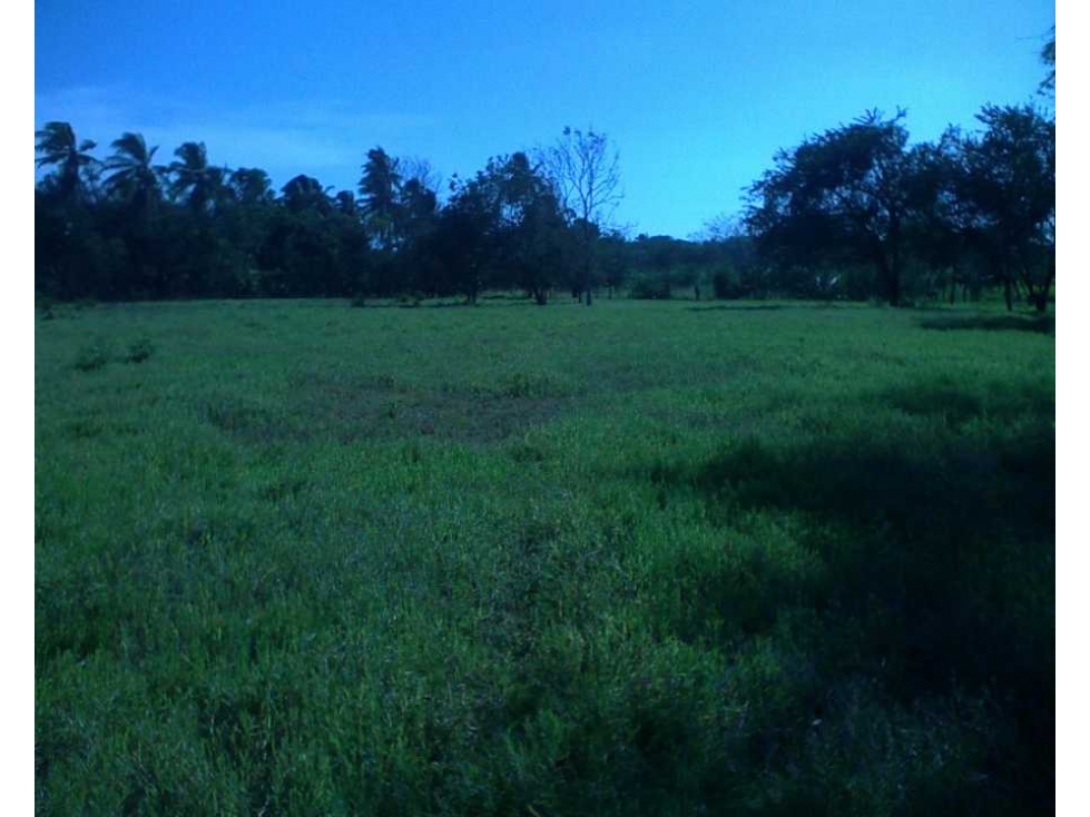 FINCA CON QUEBRADA / CERCA DEL MAR / JUAN HOMBRON / 6.5 HECTÁREAS — foto 2