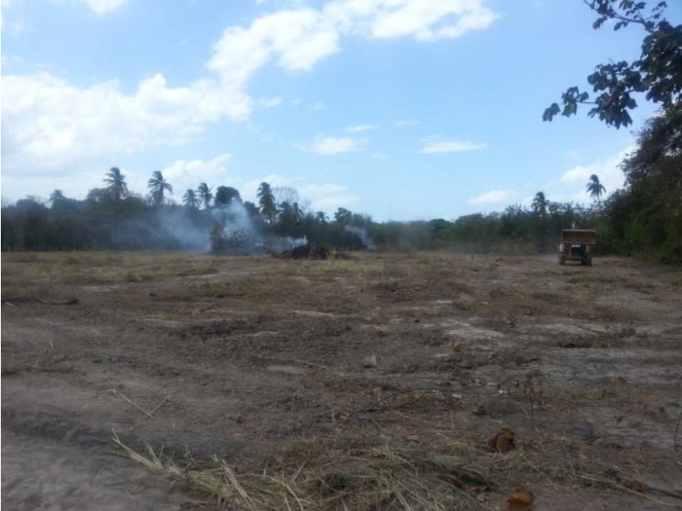 FINCA CON QUEBRADA / CERCA DEL MAR / JUAN HOMBRON / 6.5 HECTÁREAS — foto 3