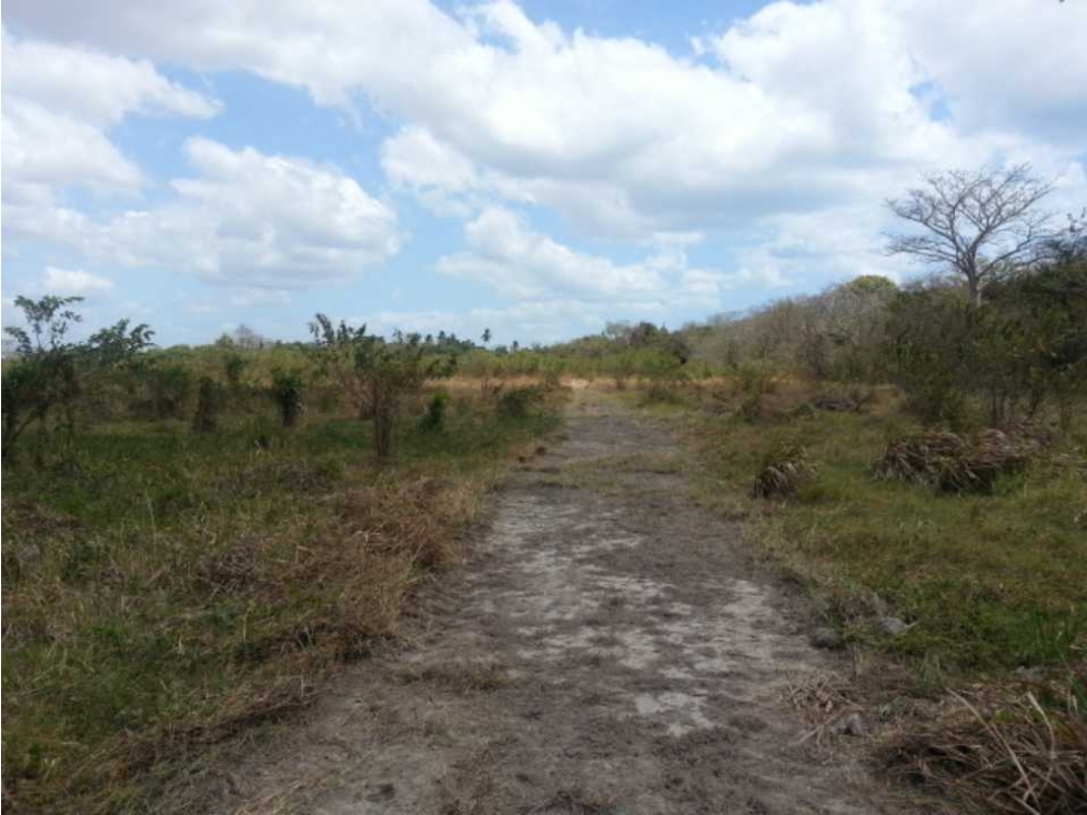 FINCA CON QUEBRADA / CERCA DEL MAR / JUAN HOMBRON / 6.5 HECTÁREAS — foto 4